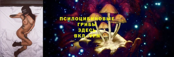бошки Абаза