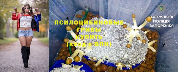 индика Абинск