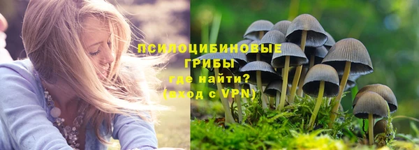 бутират Снежинск