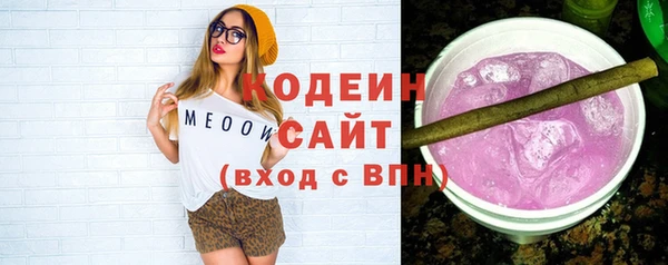 индика Абинск