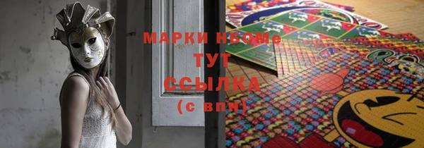 индика Абинск