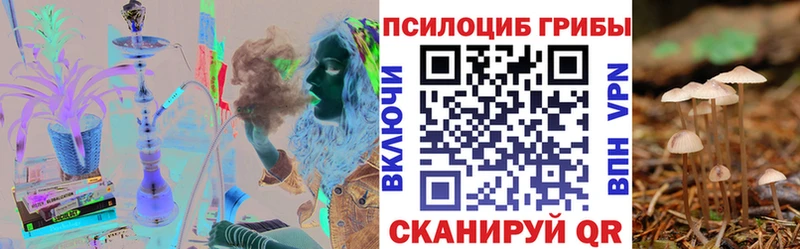 Псилоцибиновые грибы Psilocybine cubensis  наркотики  Александровск-Сахалинский 